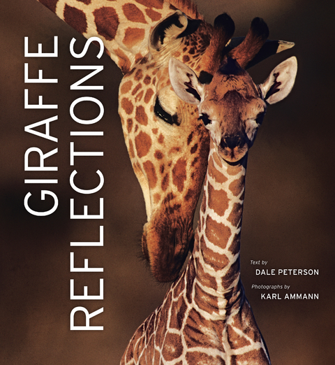 Giraffe Reflections -  Dale Peterson