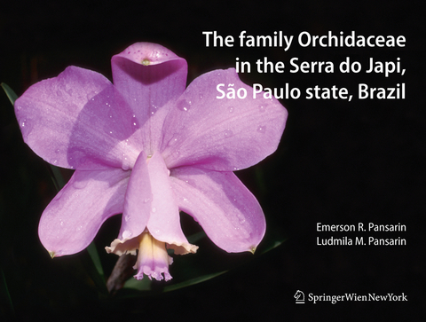 The Family Orchidaceae in the Serra do Japi, S&atilde;o Paulo state, Brazil - 