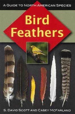Bird Feathers