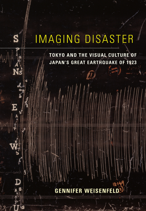 Imaging Disaster -  Gennifer Weisenfeld