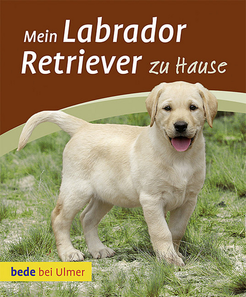 Mein Labrador Retriever zu Hause - Maike Harms