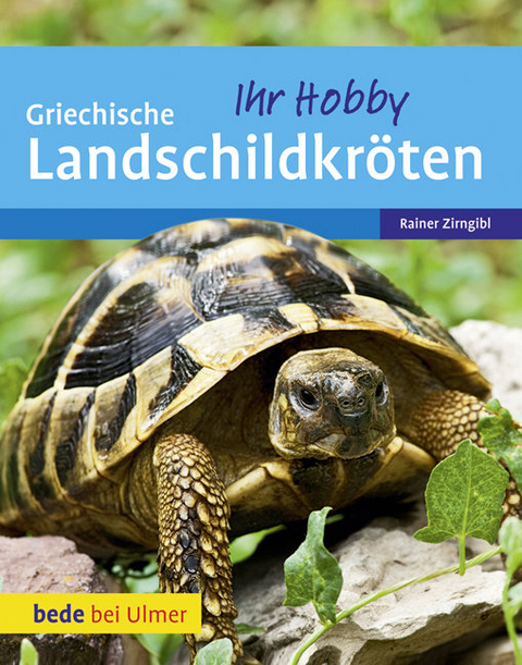 Griechische Landschildkr&ouml;ten - Rainer Zirngibl