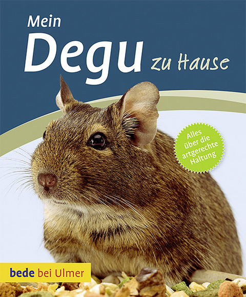 Mein Degu zu Hause - Michael K&uuml;rschner