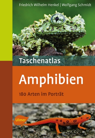 Amphibien