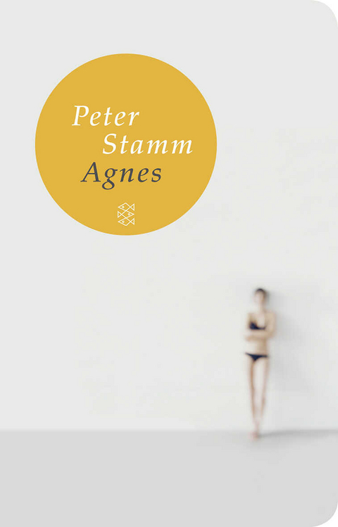 Agnes - Peter Stamm