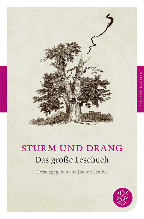 Sturm und Drang - 