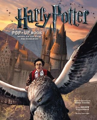 Harry Potter: A Pop-Up Book - Andrew Williamson
