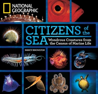 Citizens of the Sea - Nancy Knowlton