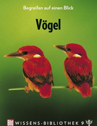 Vögel