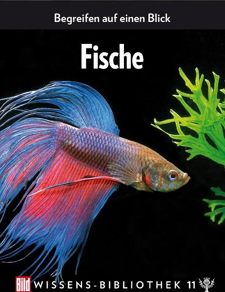 Fische und Amphibien
