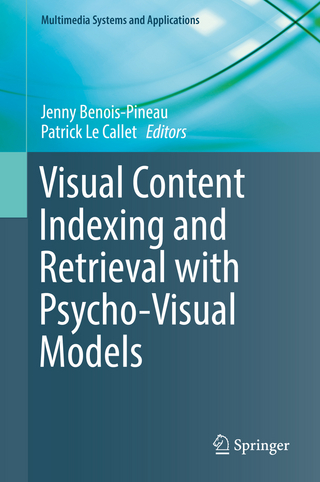 Visual Content Indexing and Retrieval with Psycho-Visual Models
