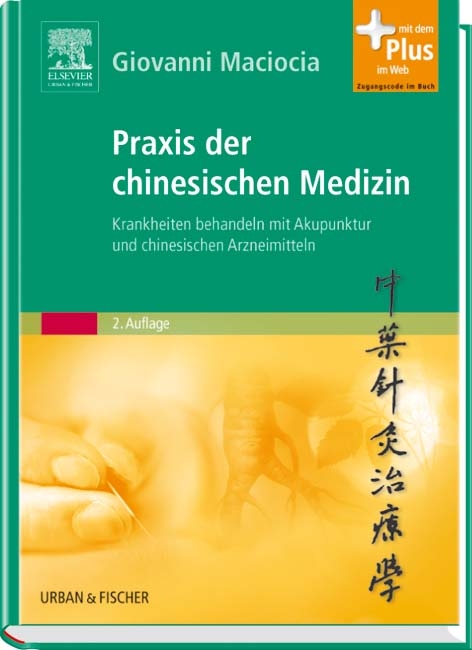 Praxis der chinesischen Medizin - Giovanni Maciocia