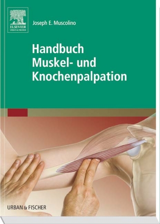 Handbuch Muskel- und Knochenpalpation