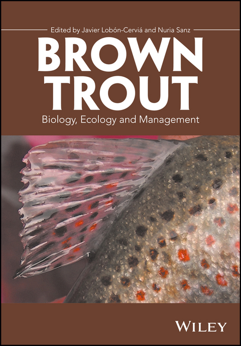 Brown Trout - 