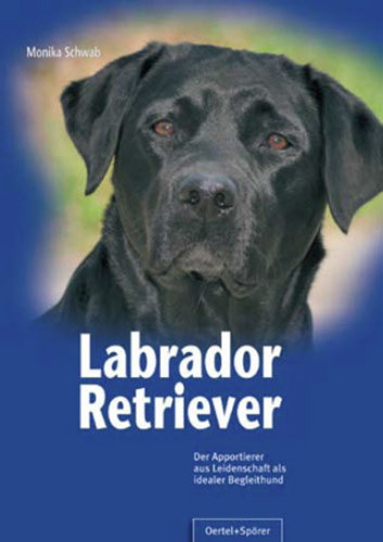 Labrador Retriever - Monika Schwab