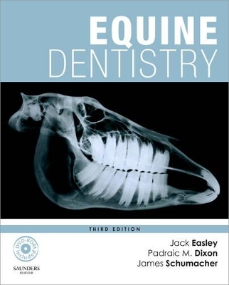 Equine Dentistry - 