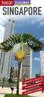 Insight Flexi Map: Singapore