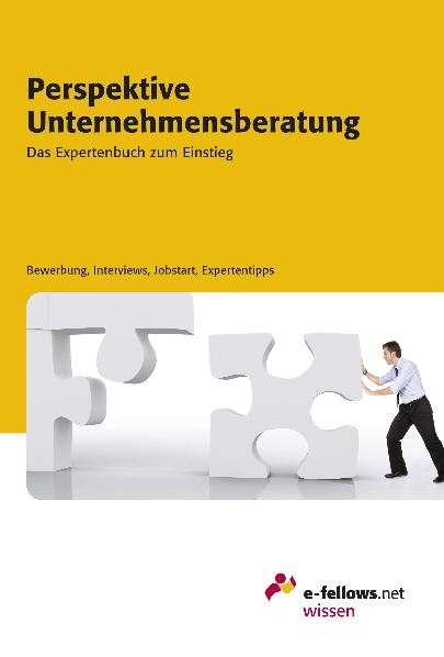 Perspektive Unternehmensberatung 2010