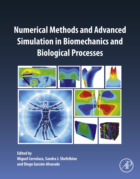 Numerical Methods and Advanced Simulation in Biomechanics and Biological Processes - 