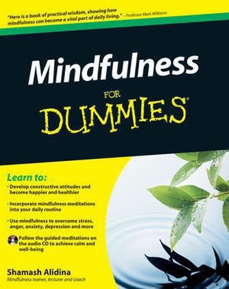 Mindfulness For Dummies - Shamash Alidina