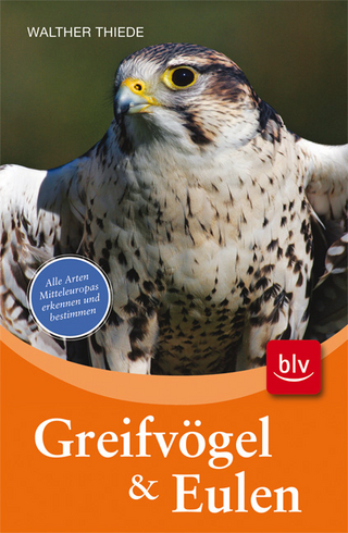 Greifvögel und Eulen