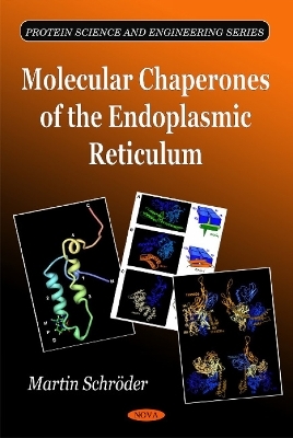 Molecular Chaperones of the Endoplasmic Reticulum - Martin Schr&ouml;der