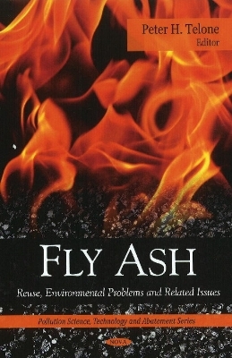 Fly Ash - 