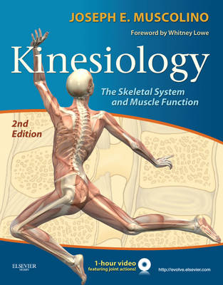 Kinesiology - Joseph E. Muscolino