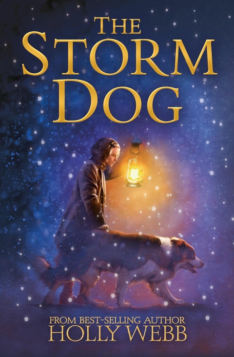 Storm Dog -  Holly Webb