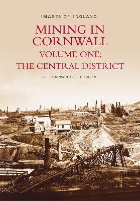 Mining in Cornwall Volume One: The Central District
