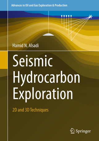 Seismic Hydrocarbon Exploration