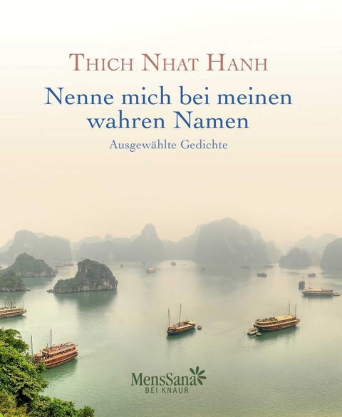 Nenne mich bei meinen wahren Namen -  Thich Nhat Hanh