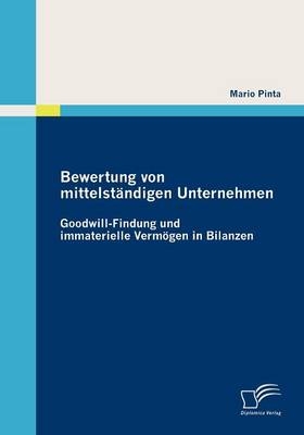 Bewertung von mittelständigen Unternehmen: Goodwill-Findung und immaterielle Vermögen in Bilanzen