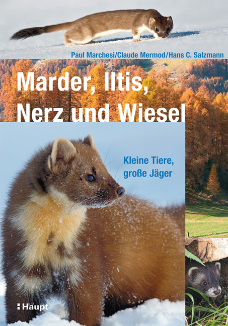 Marder, Iltis, Nerz und Wiesel - Paul Marchesi, Claude Mermod, Hans C. Salzmann