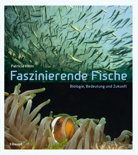 Faszinierende Fische - Patricia Holm