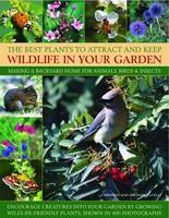Best Plants to Attract and Keep Wildlife in the Garden - Christine Lavelle