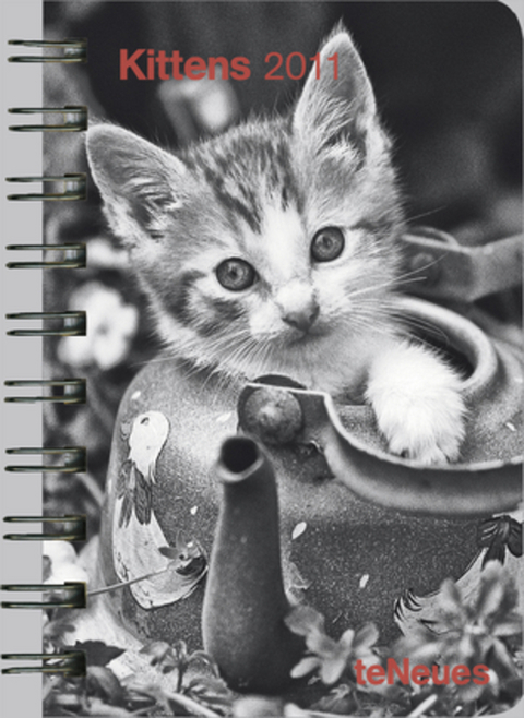 2011 Kittens Pocket Diary