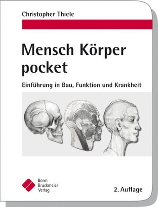 Mensch Körper pocket