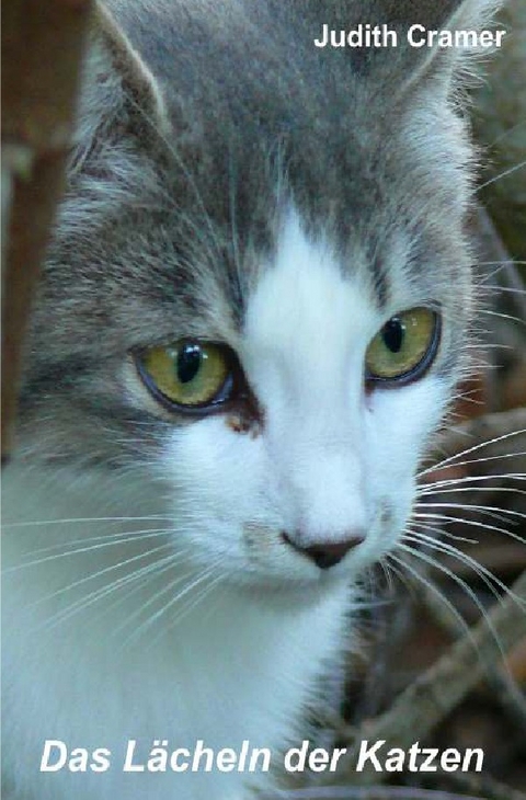 Das Lächeln der Katzen - Judith Cramer