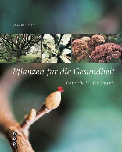 Pflanzen f&uuml;r die Gesundheit - Maja DalCero