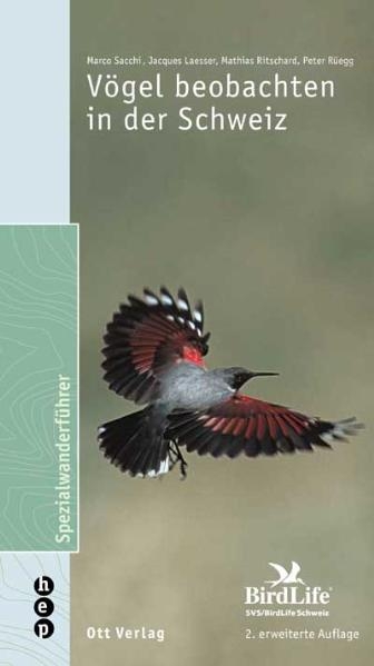 V&ouml;gel beobachten in der Schweiz - Marco Sacchi, Jacques Laesser, Mathias Ritschard, Peter R&uuml;egg