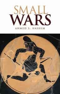 Small Wars - Ahmed S. Hashim