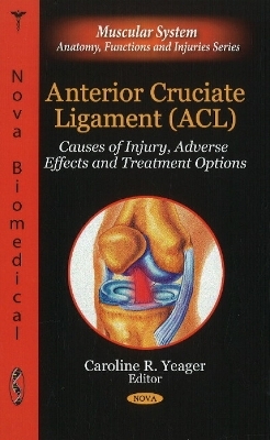 Anterior Cruciate Ligament (ACL)