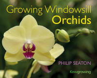 Growing Windowsill Orchids - Philip Seaton
