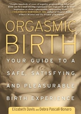 Orgasmic Birth - Elizabeth Davis, Debra Pascali-Bonaro
