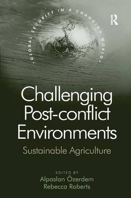 Challenging Post-conflict Environments -  Alpaslan Ozerdem,  Rebecca Roberts