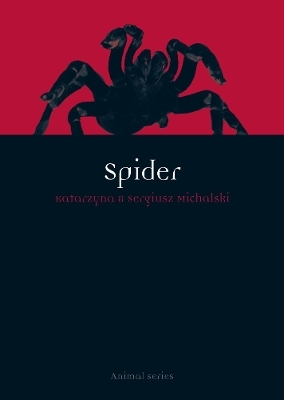 Spider - Sergiusz Michalski, Katarzyna Michalski