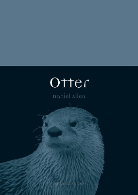 Otter - Daniel Allen