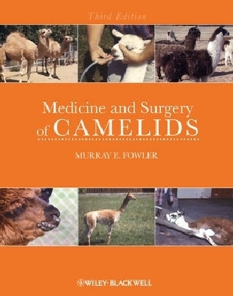 Medicine and Surgery of Camelids - Murray E. Fowler