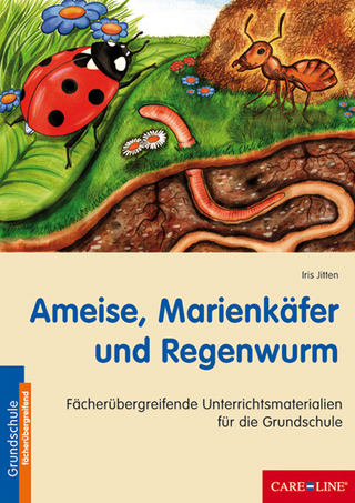 Ameise, Marienkäfer und Regenwurm
